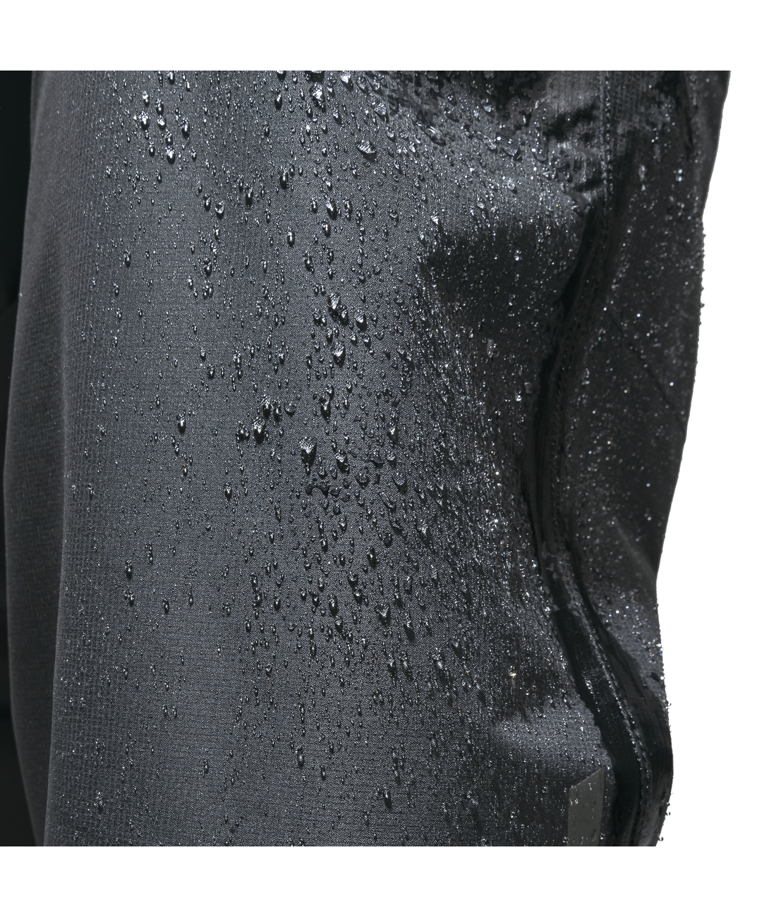 2.5L Pants Tarvis L