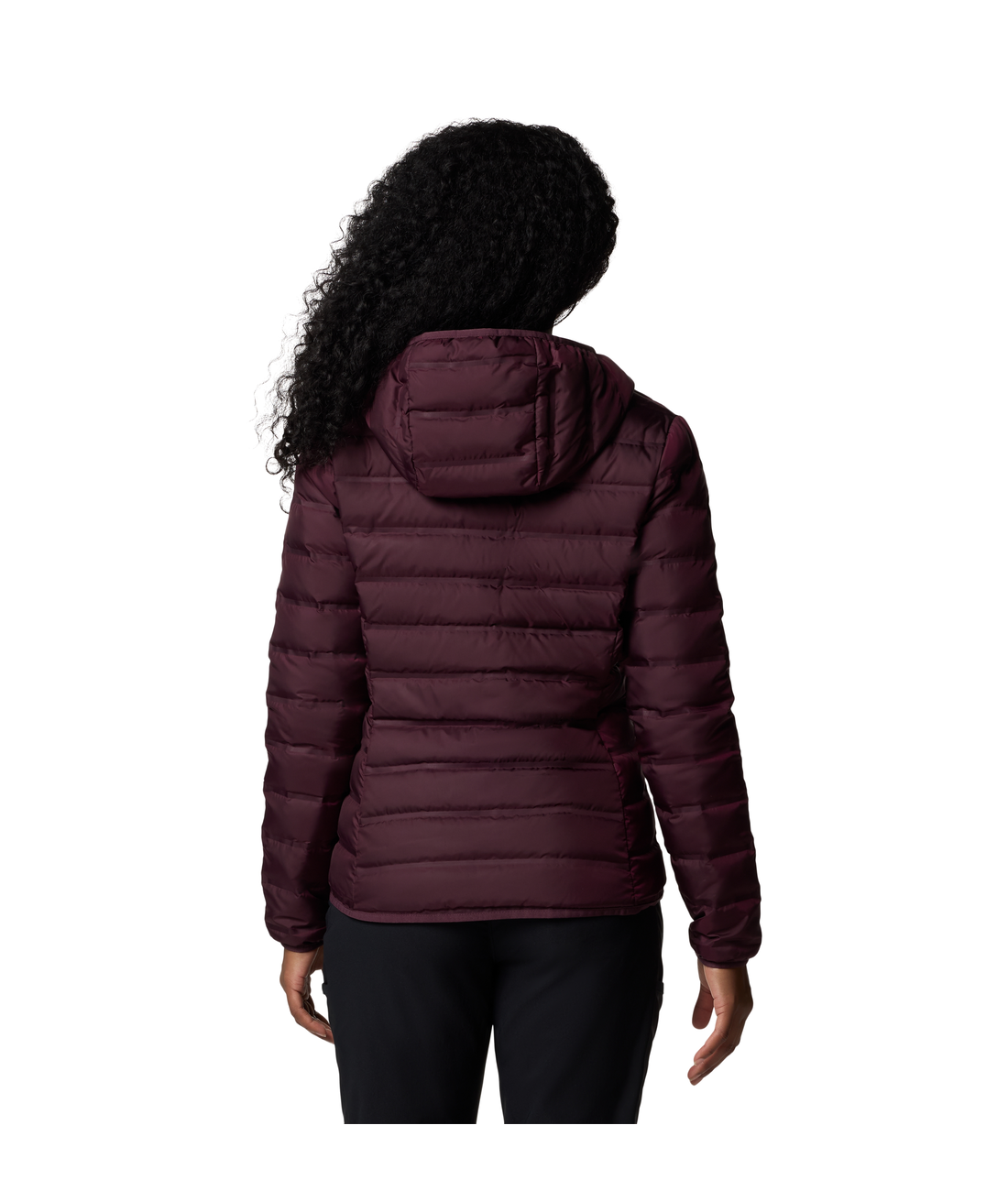 Lake 22 II Down Hooded Jacket