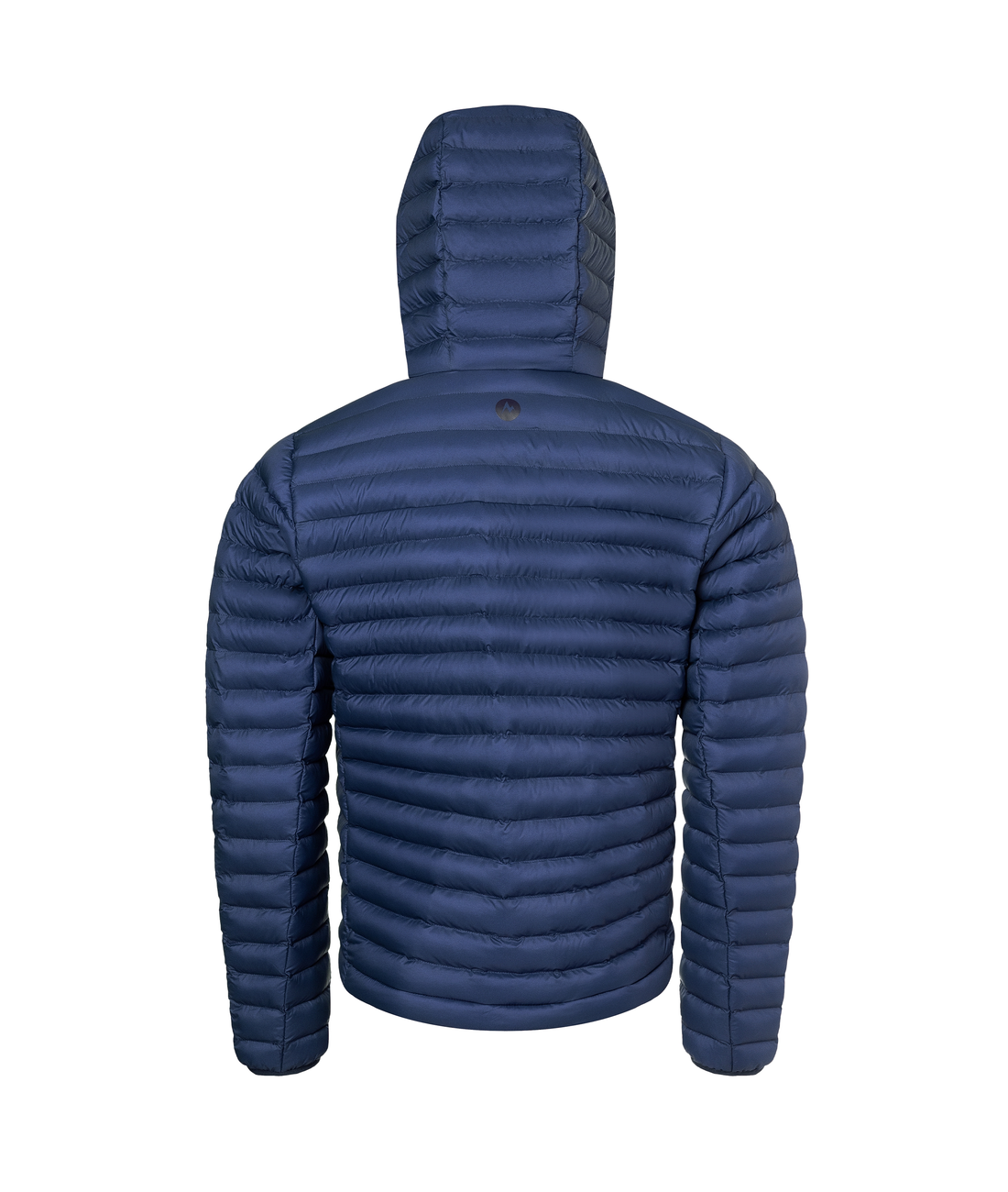 Echo Featherless Hoody