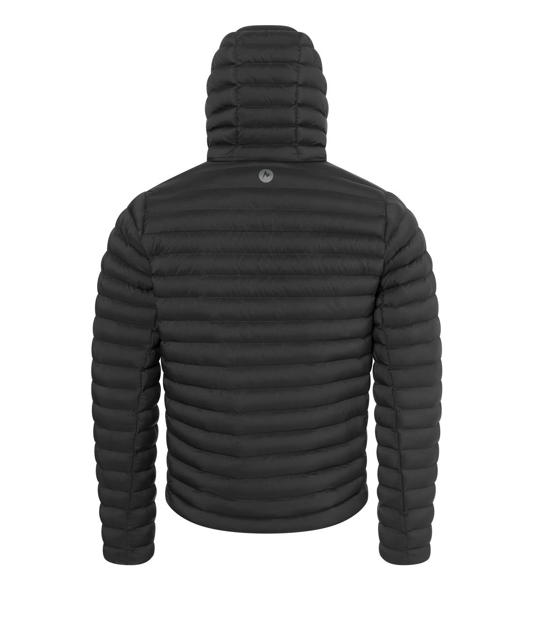 Echo Featherless Hoody