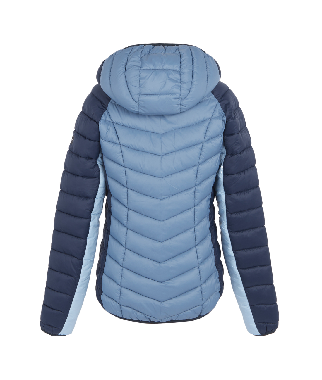 Hooded Dalent Ladies