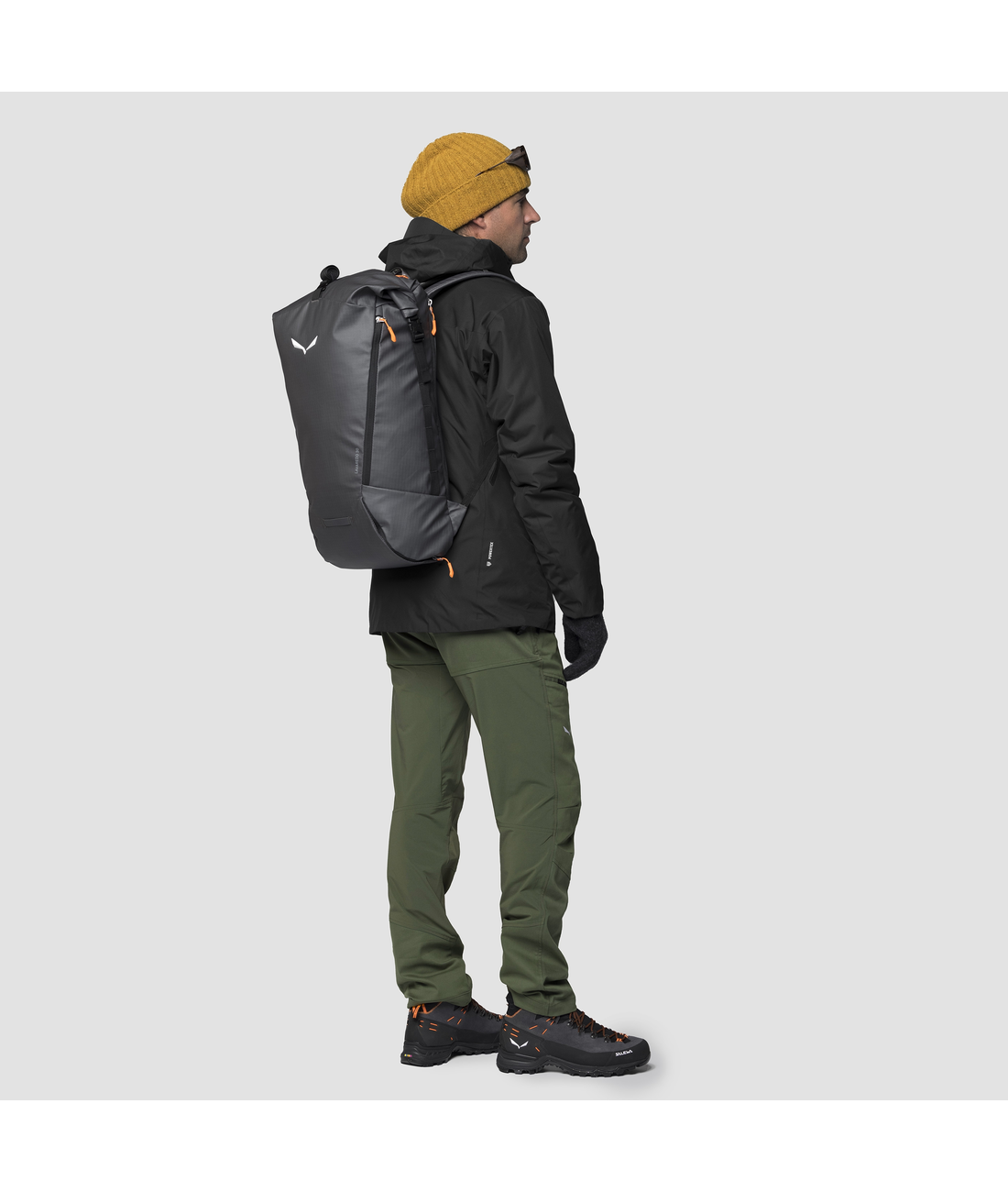 Salewa fanes 2 gtx 2l m jkt online