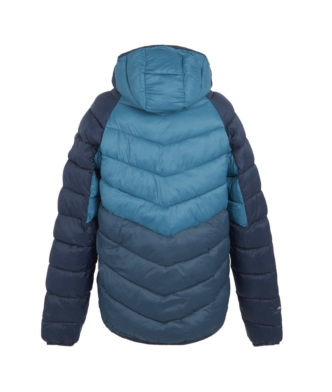 Hooded Dalent Men