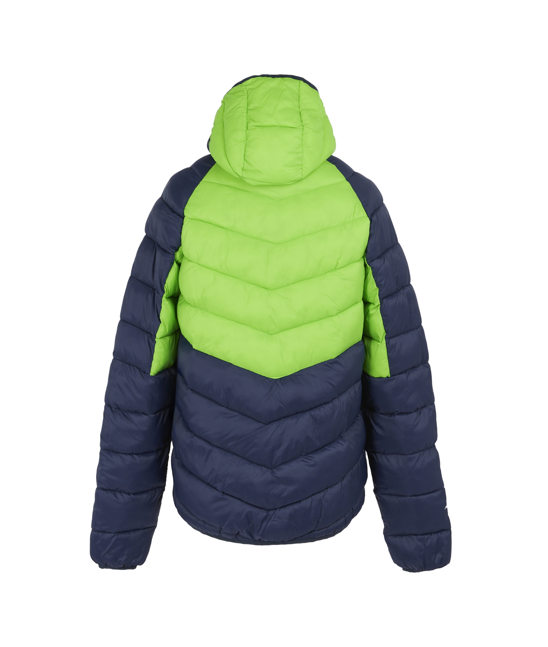 Hooded Dalent Men