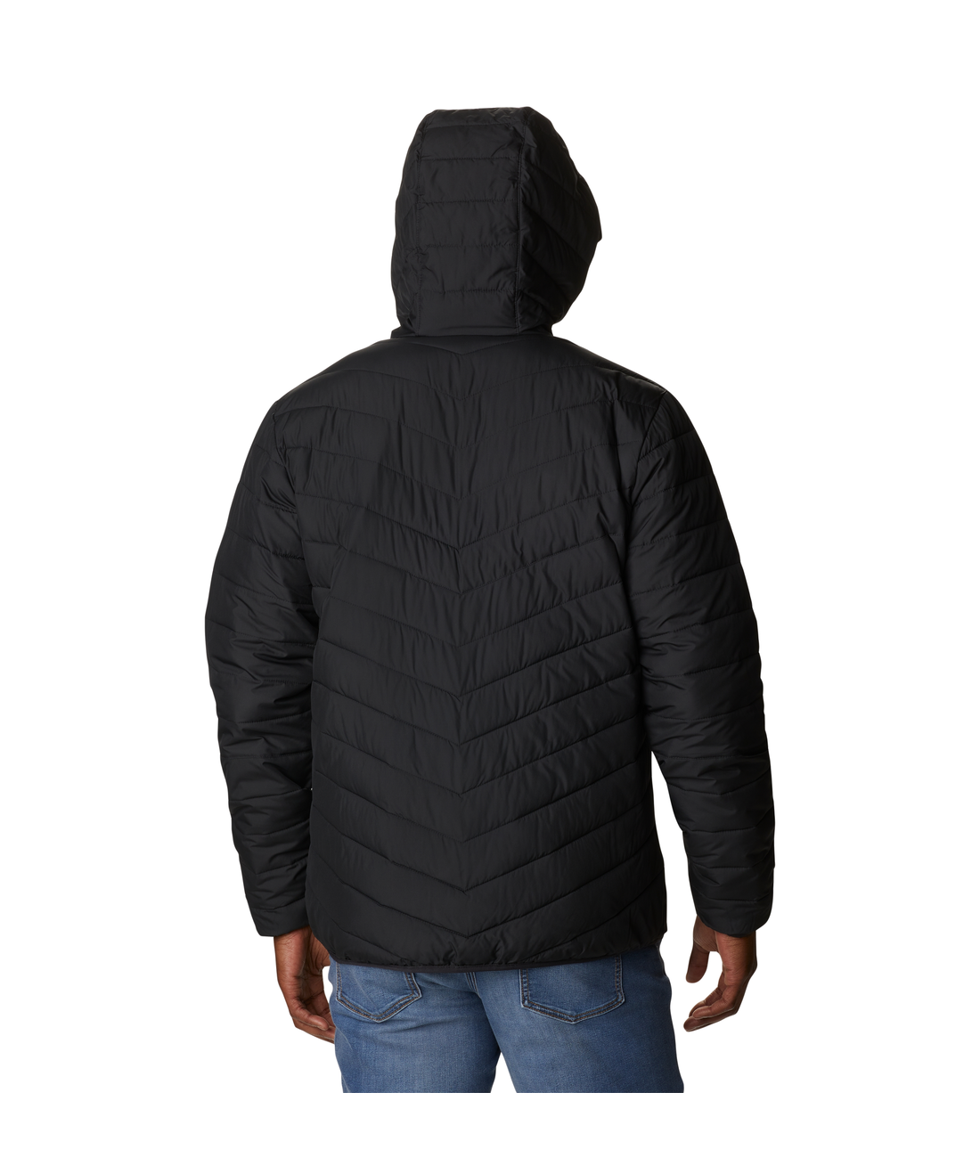 Eddie Gorge Hooded Jacket