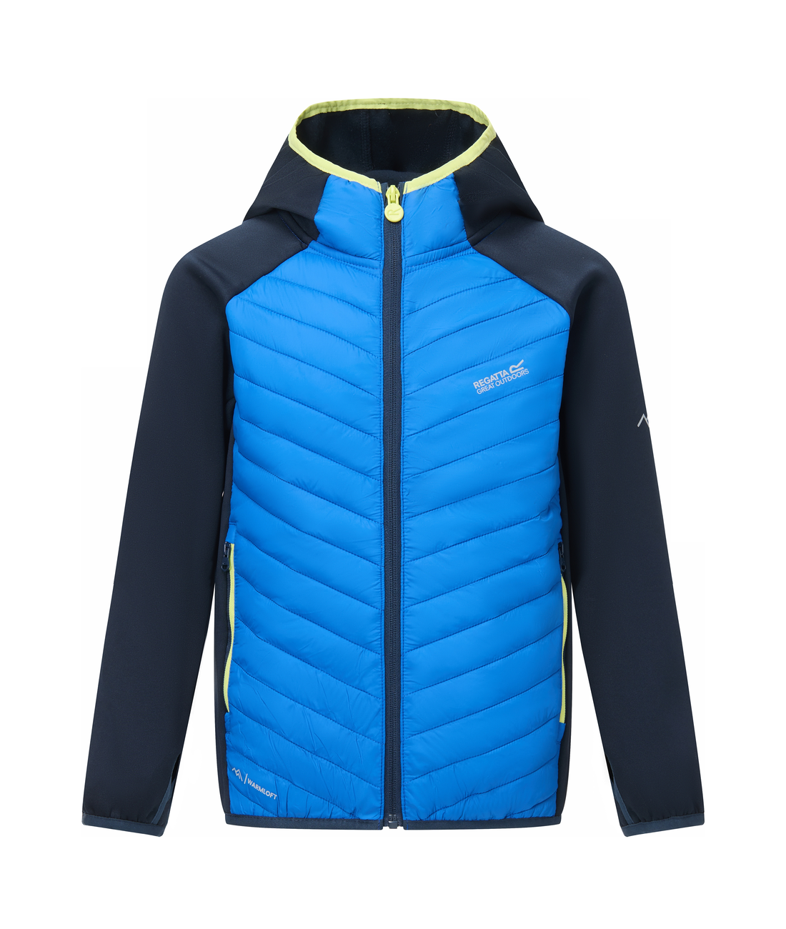 Junior Andreson Hybrid