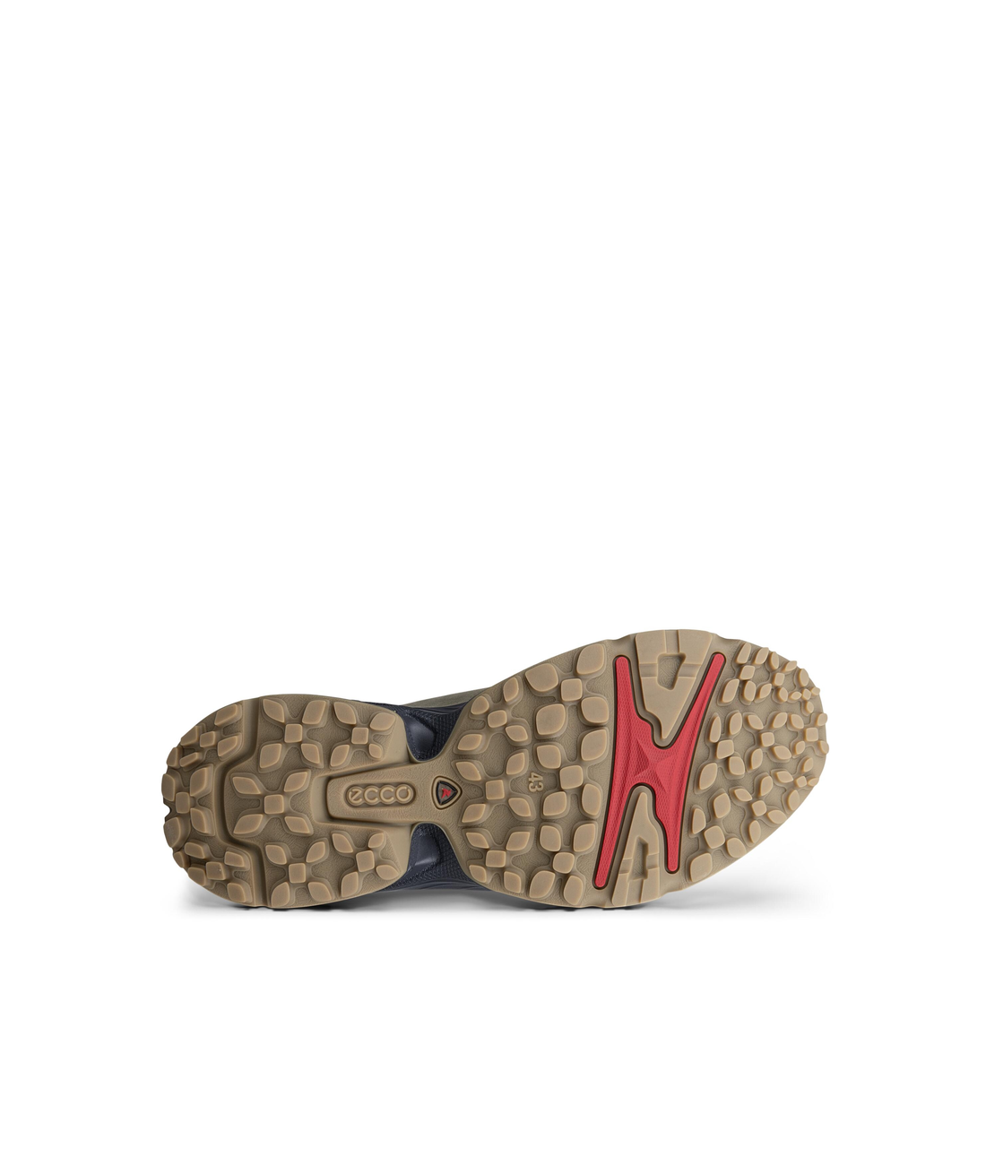Receptor XP M WP Shoe