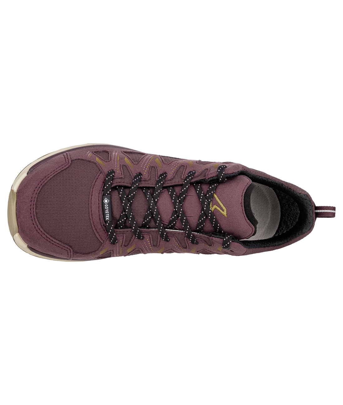 Innox Evo II GTX Lady