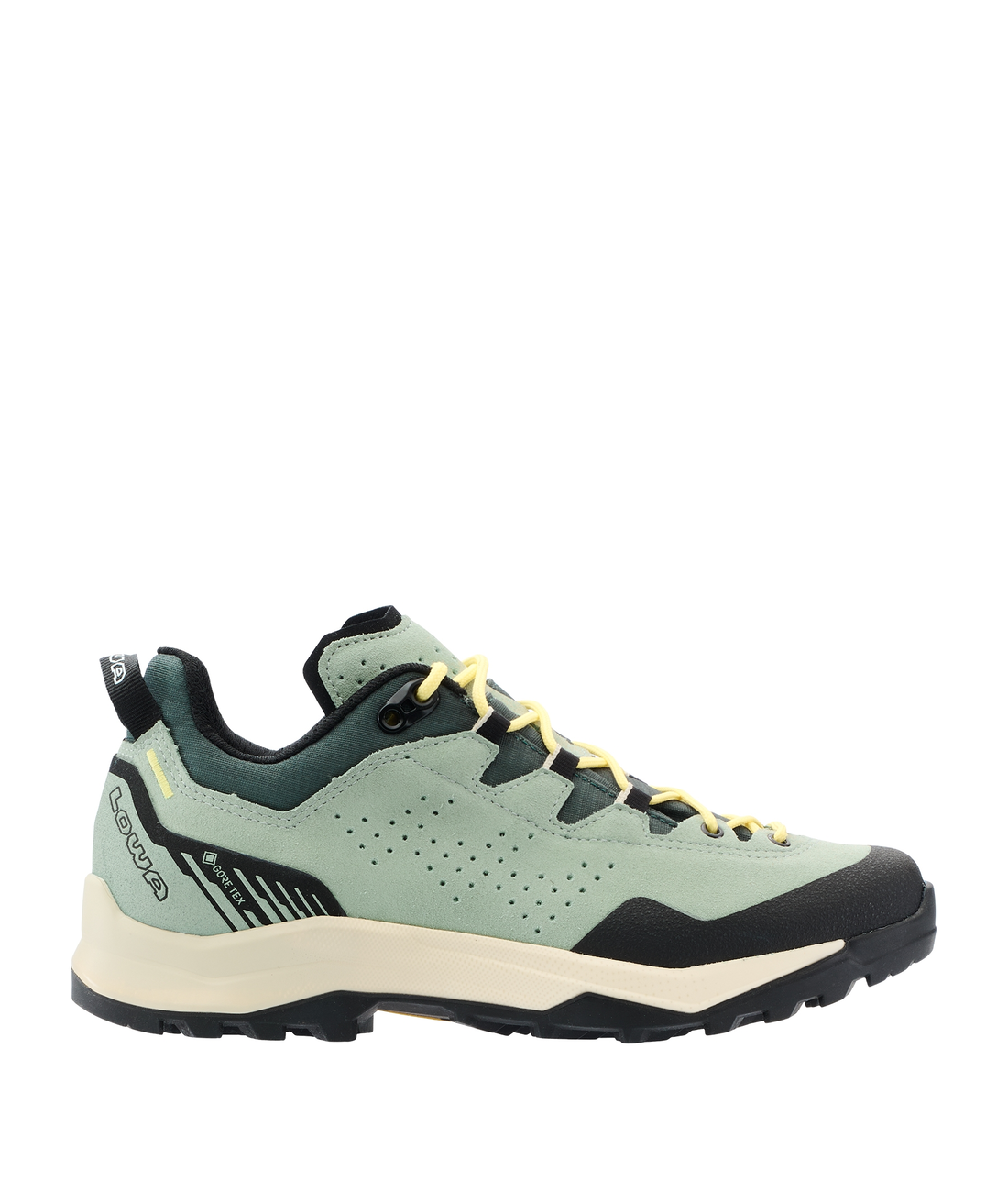 Explorer GTX Lo Ws