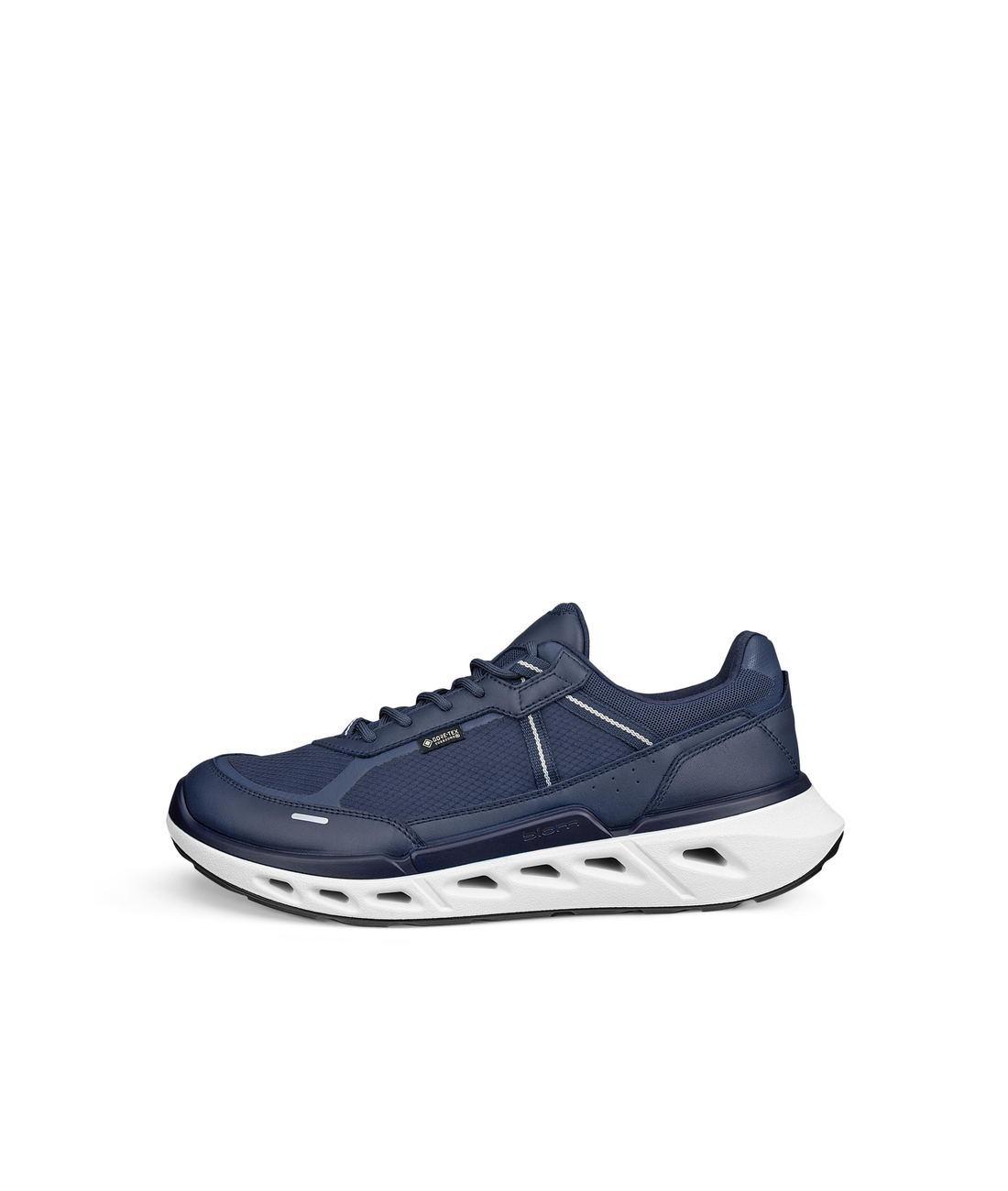 Biom 720 M GTXS Lea/Tex