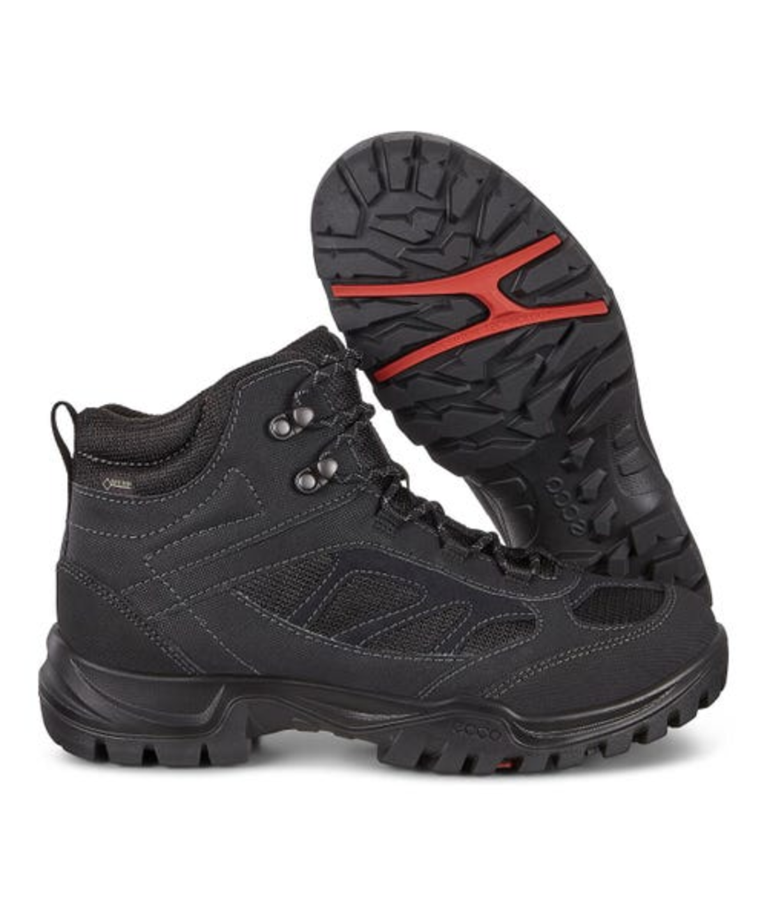 Xpedition III M High GTX