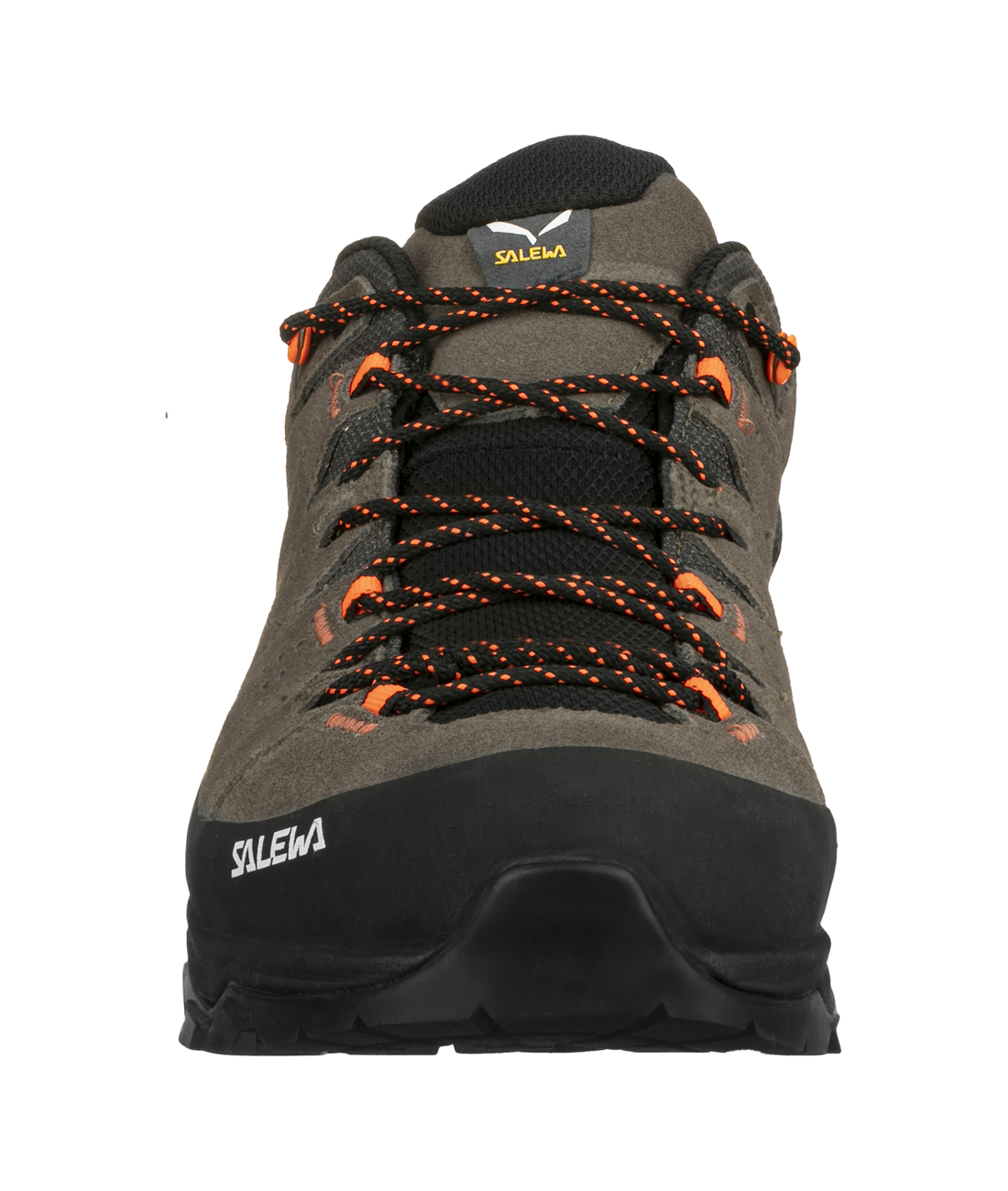 ALP Trainer 2 GTX M