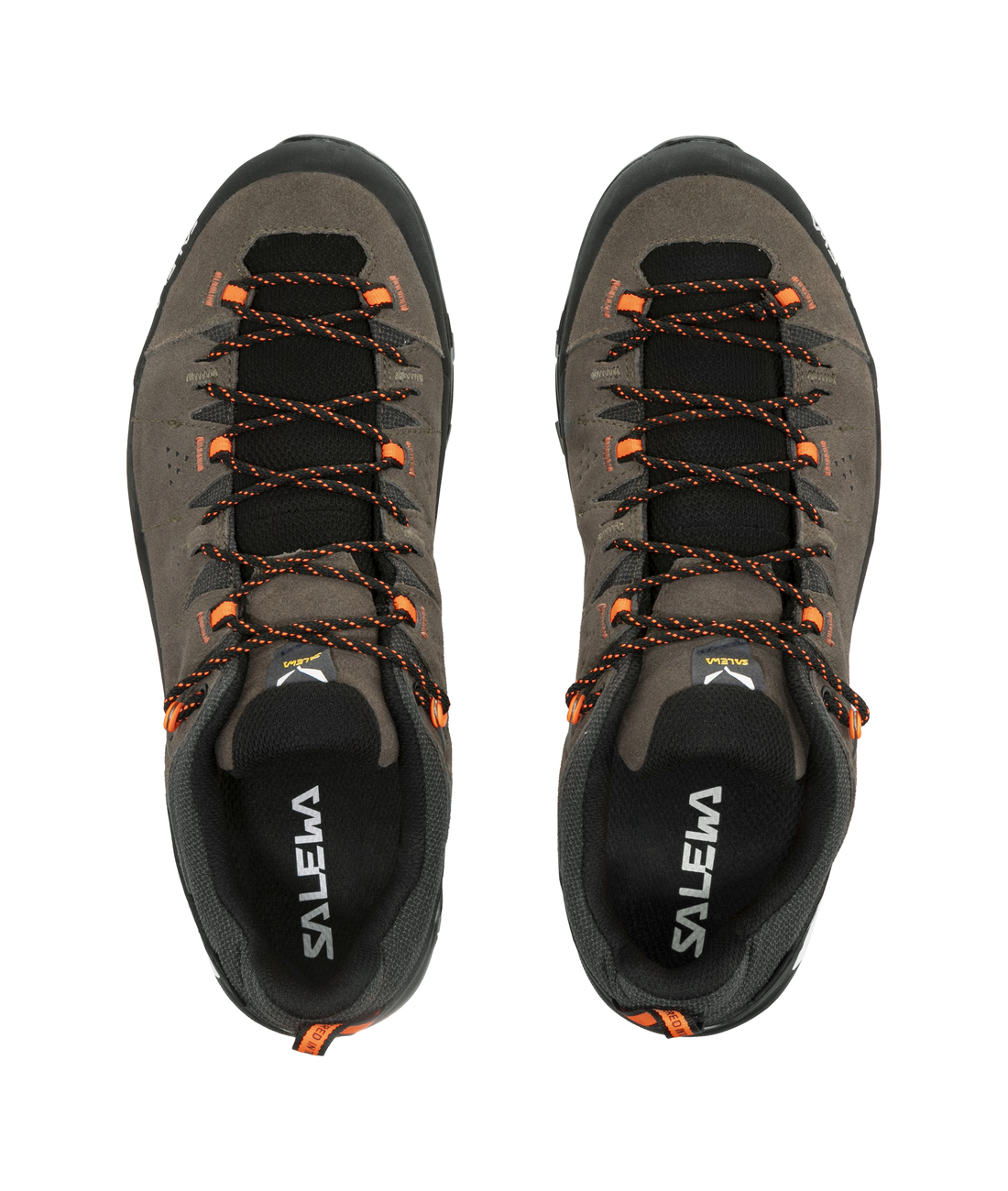 ALP Trainer 2 GTX M