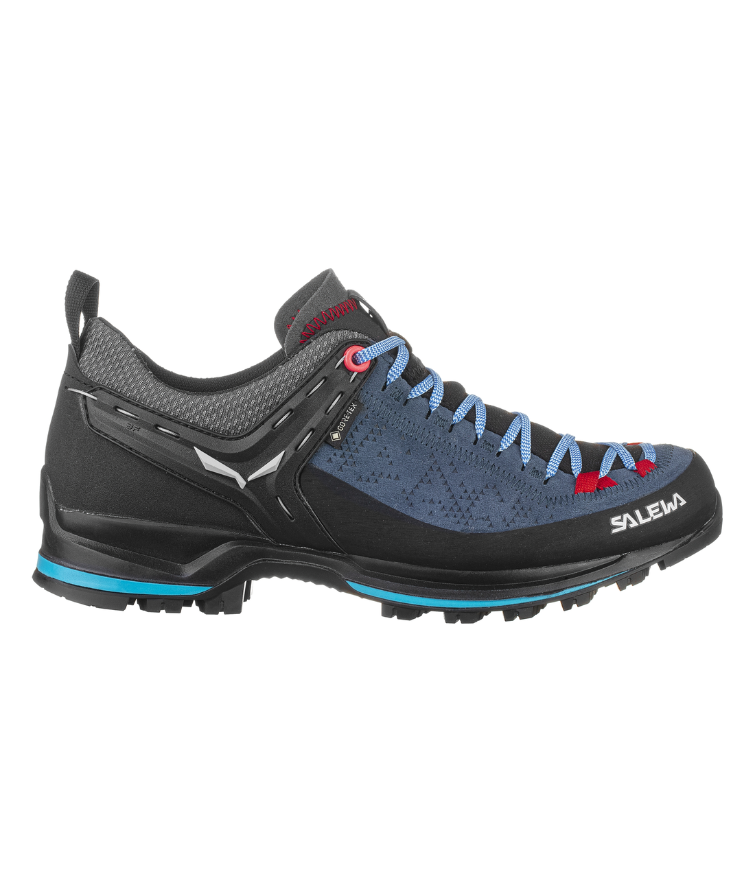 Mountain Trainer 2 GTX WS