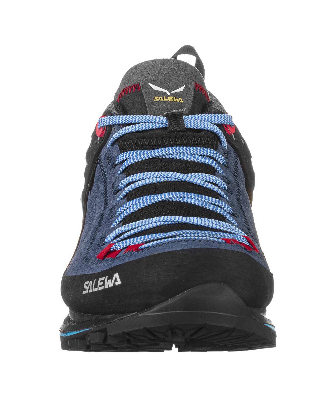 Mountain Trainer 2 GTX WS