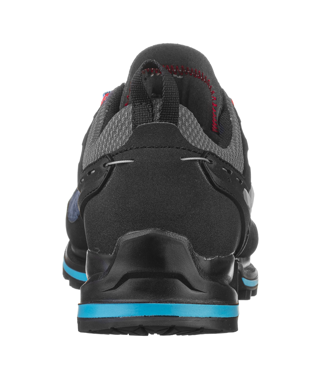 Mountain Trainer 2 GTX WS