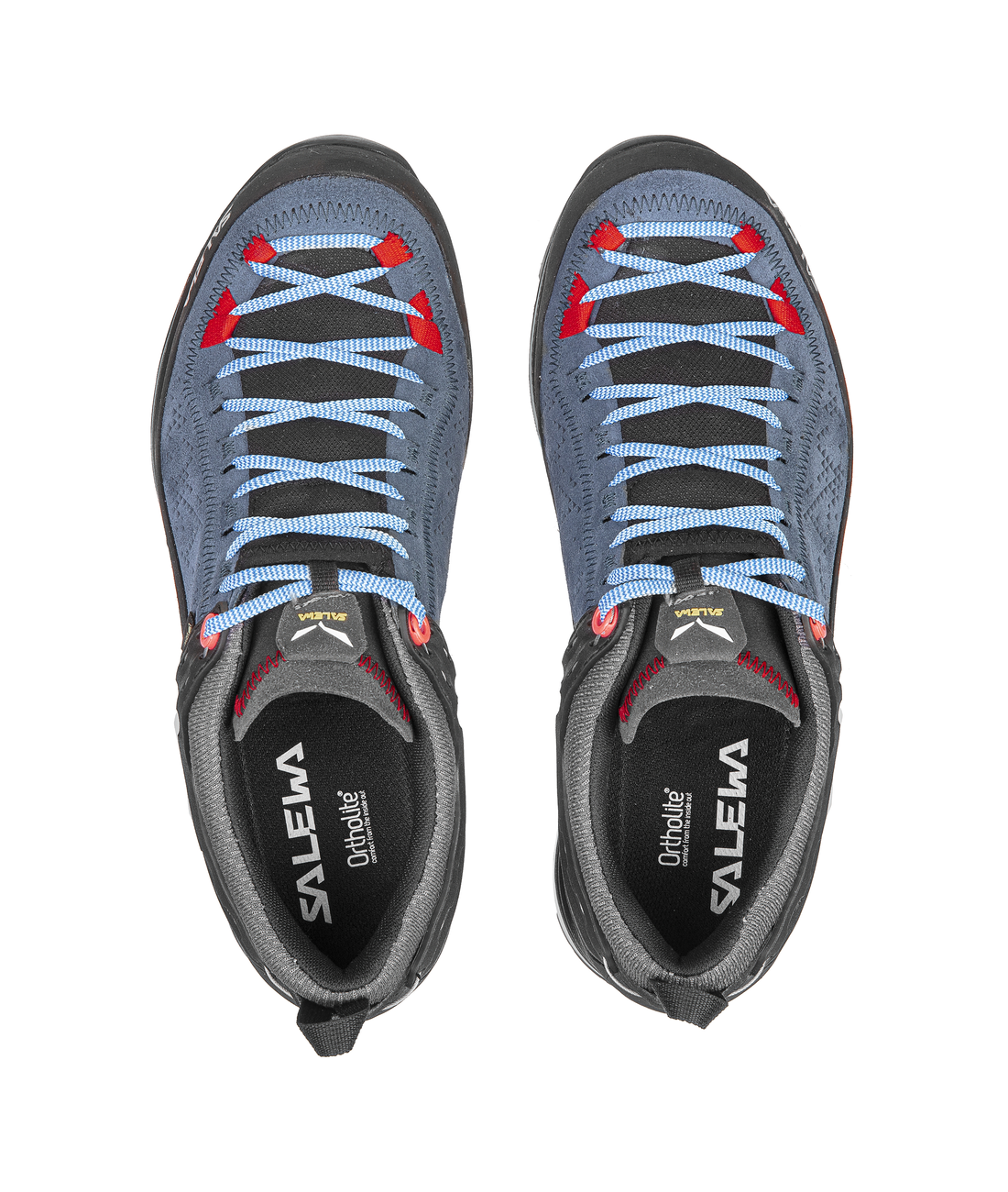 Mountain Trainer 2 GTX WS