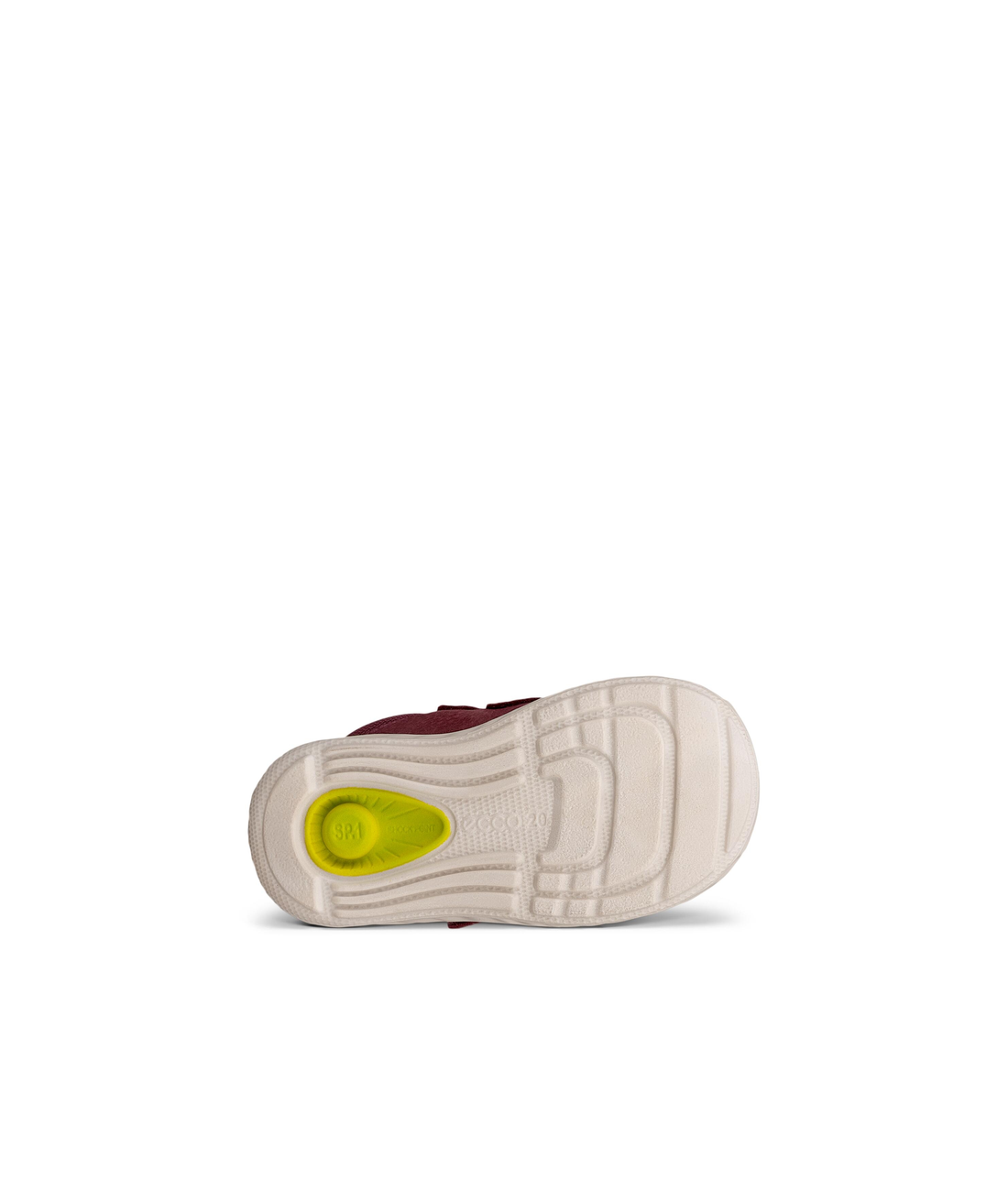 SP.1 Lite Infant