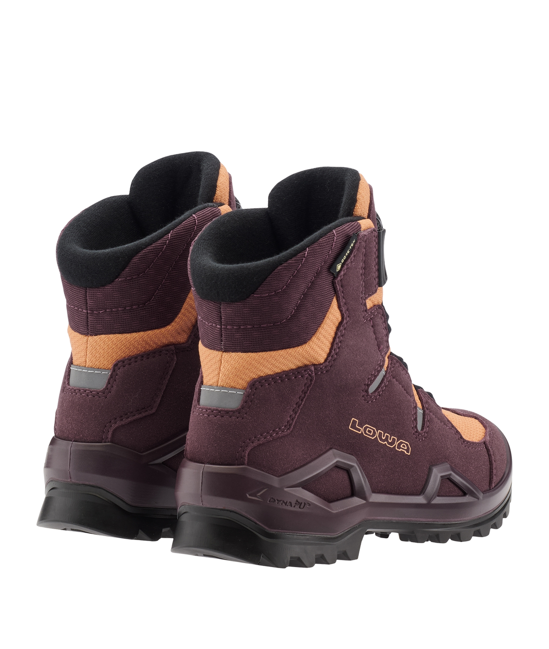Milo Evo GTX HI Boa Junior