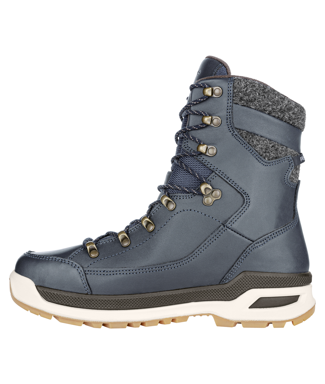 Renegade Evo Ice GTX Men