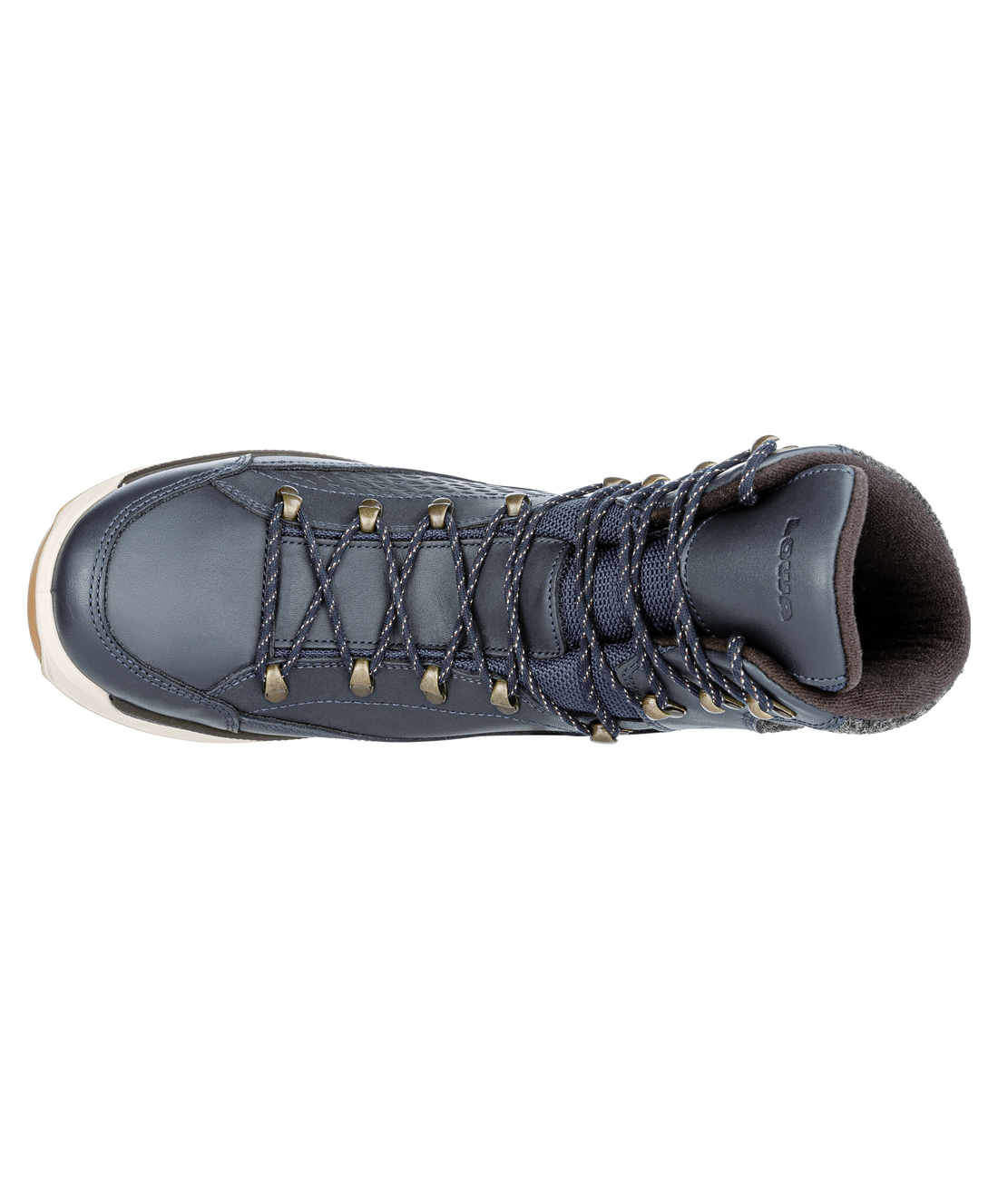 Renegade Evo Ice GTX Men