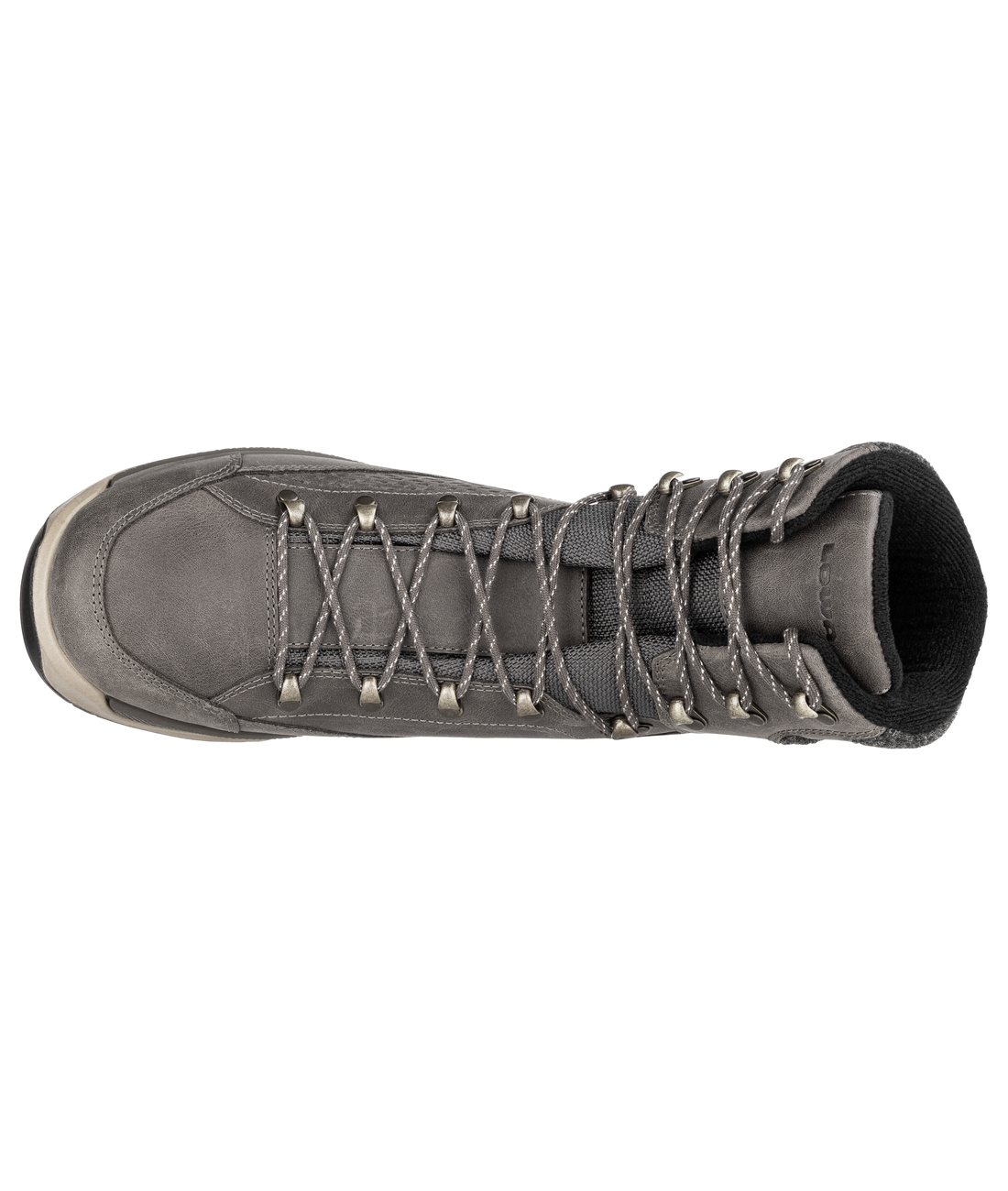 Renegade Evo Ice GTX Men