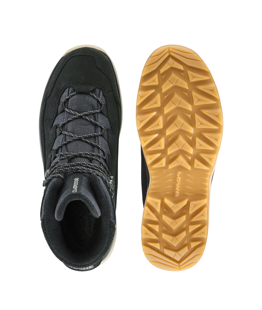 Ottawa Evo GTX Men