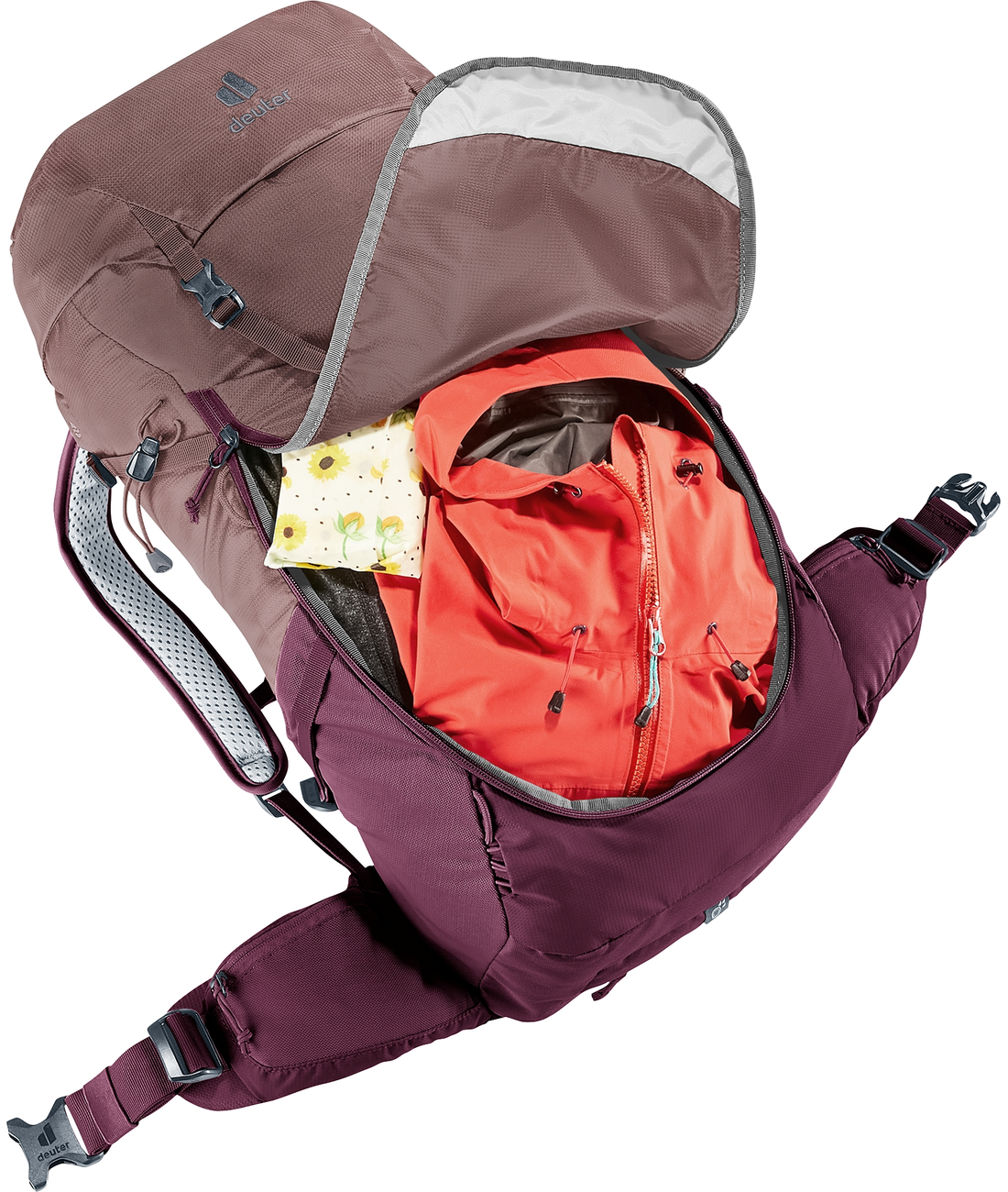 Futura 24 SL