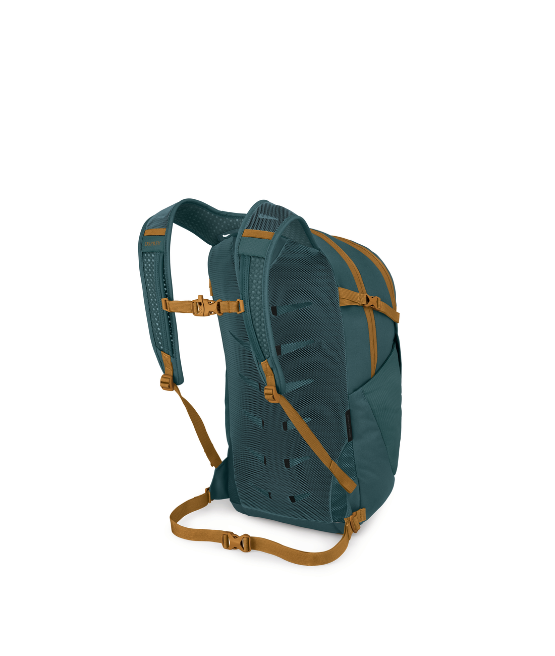 Daylite Plus