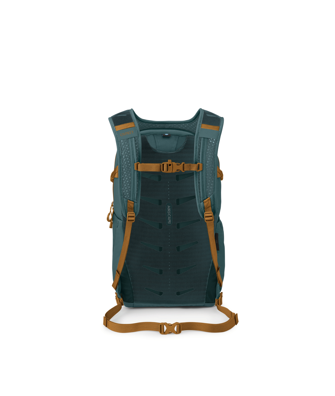 Daylite Plus