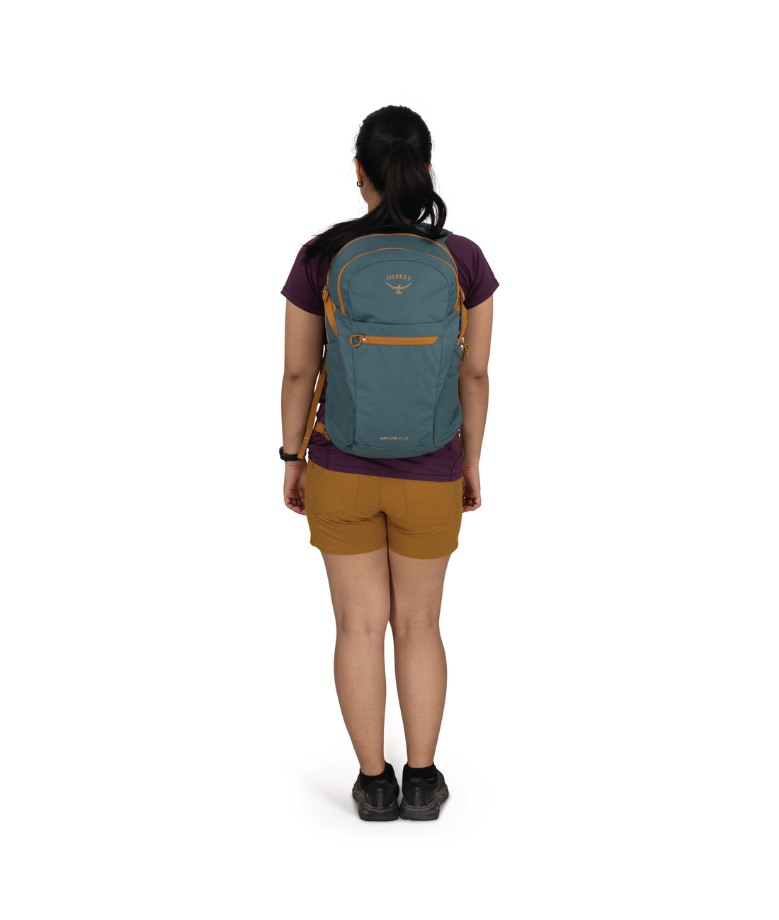 Daylite Plus