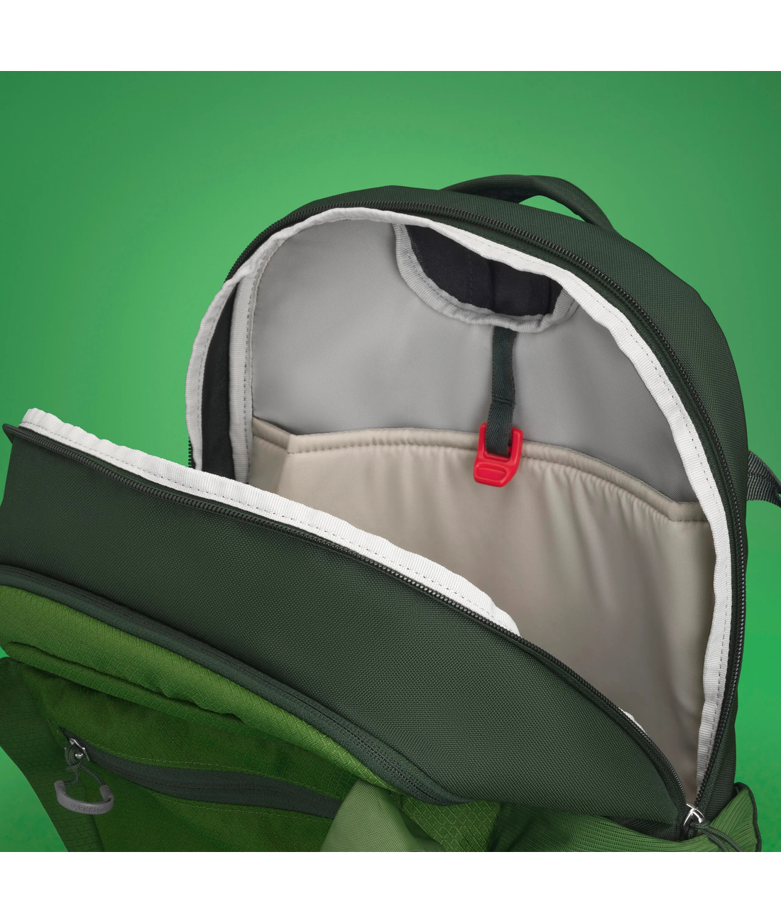 Daylite Plus