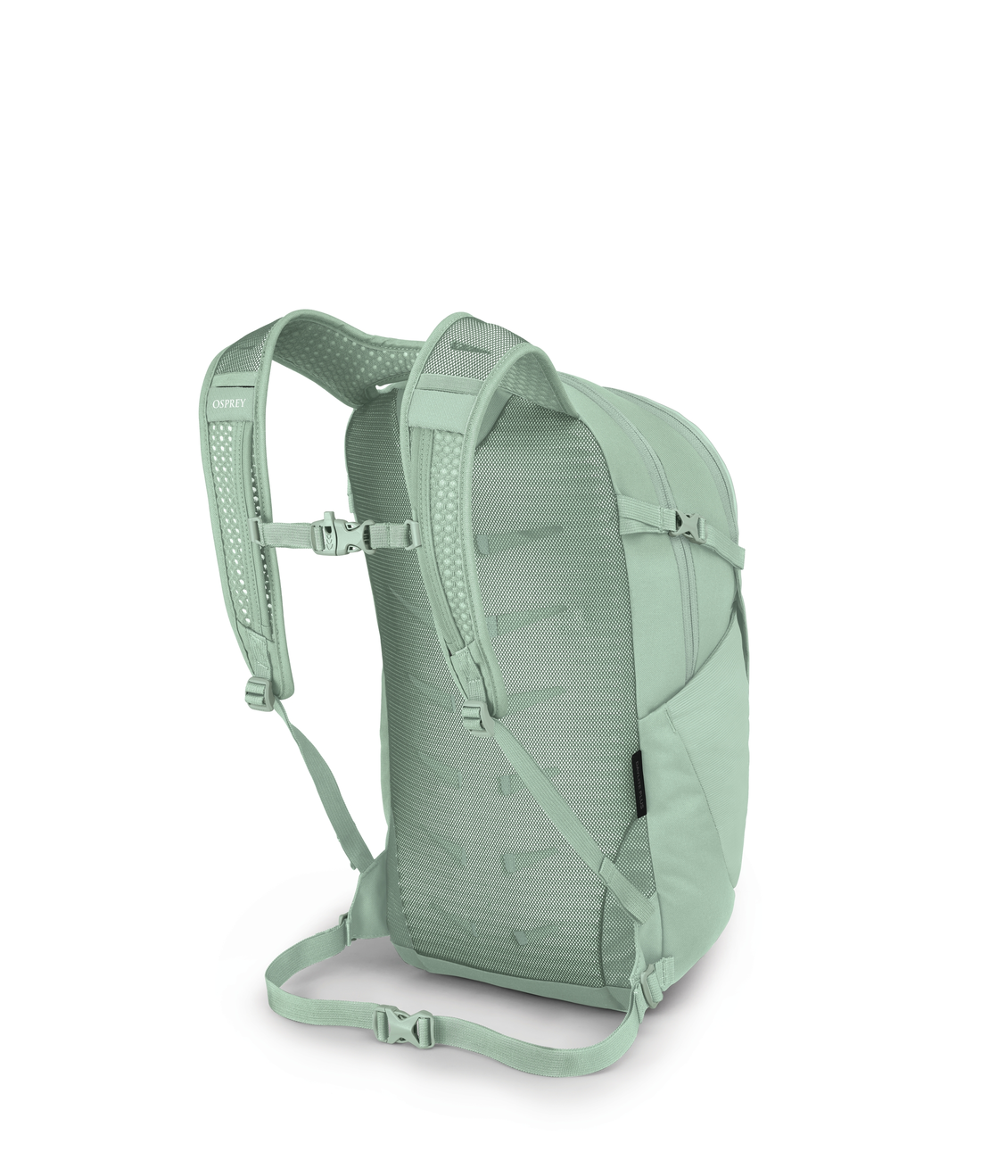 Daylite Plus