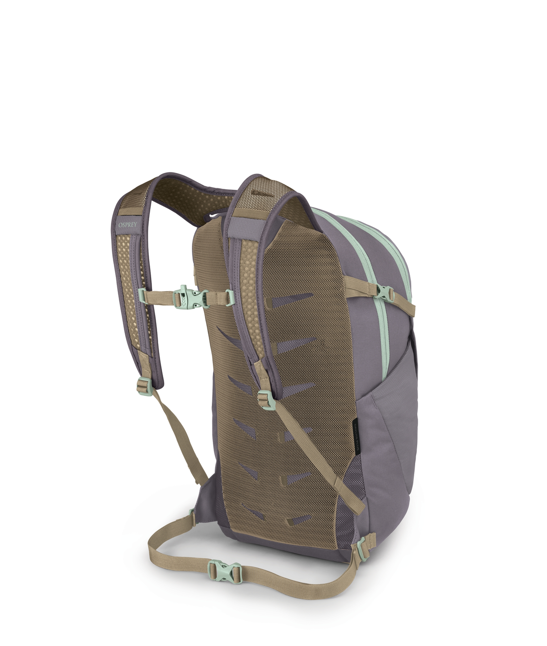 Daylite Plus