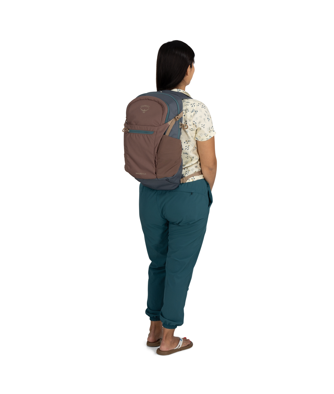Daylite Plus