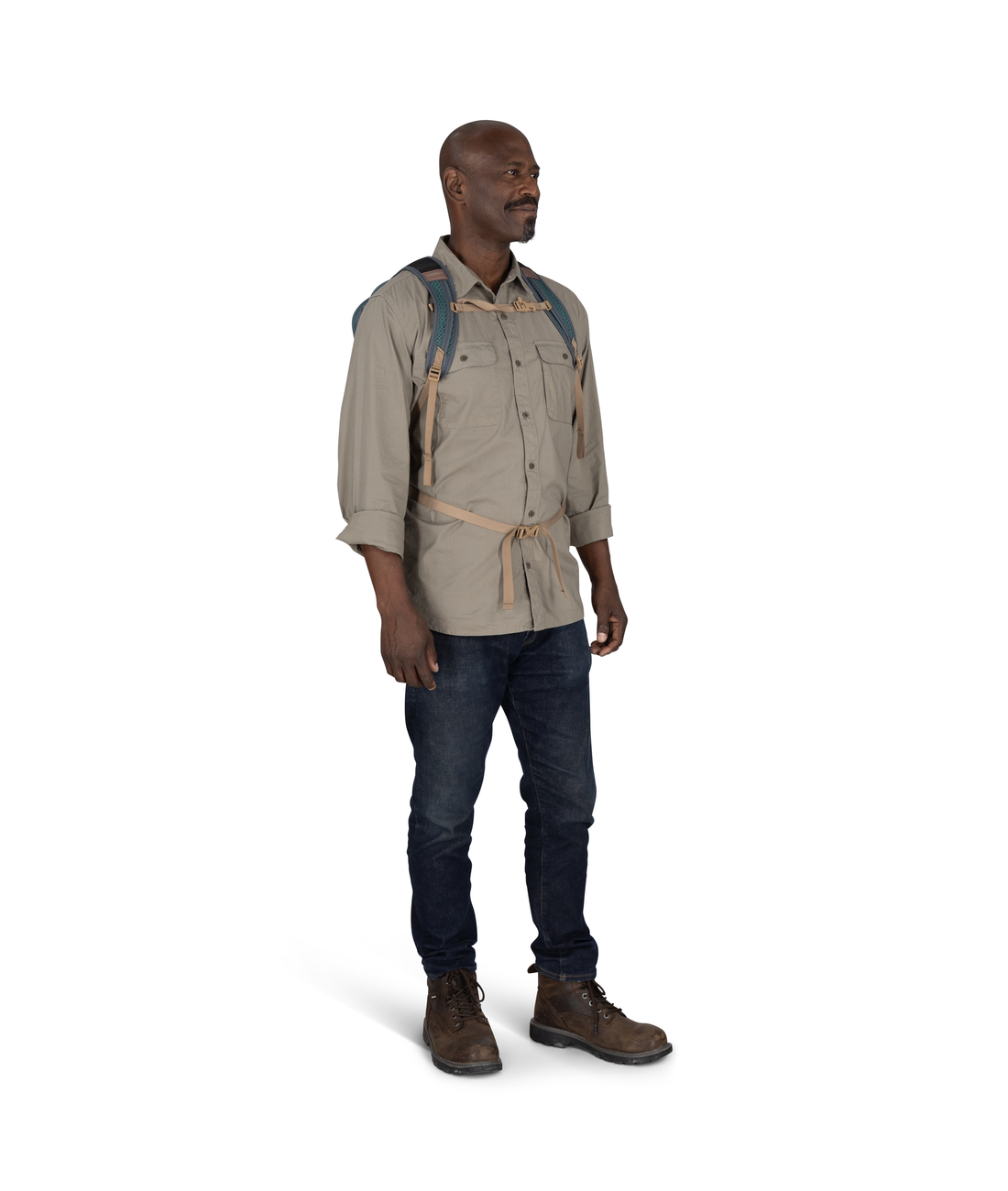 Daylite Plus