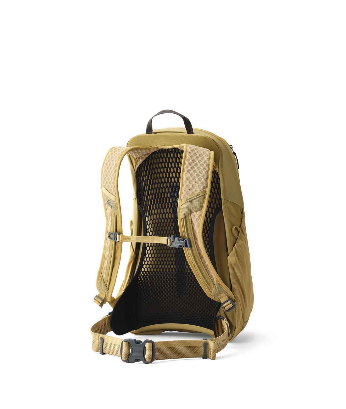 Arrio 20