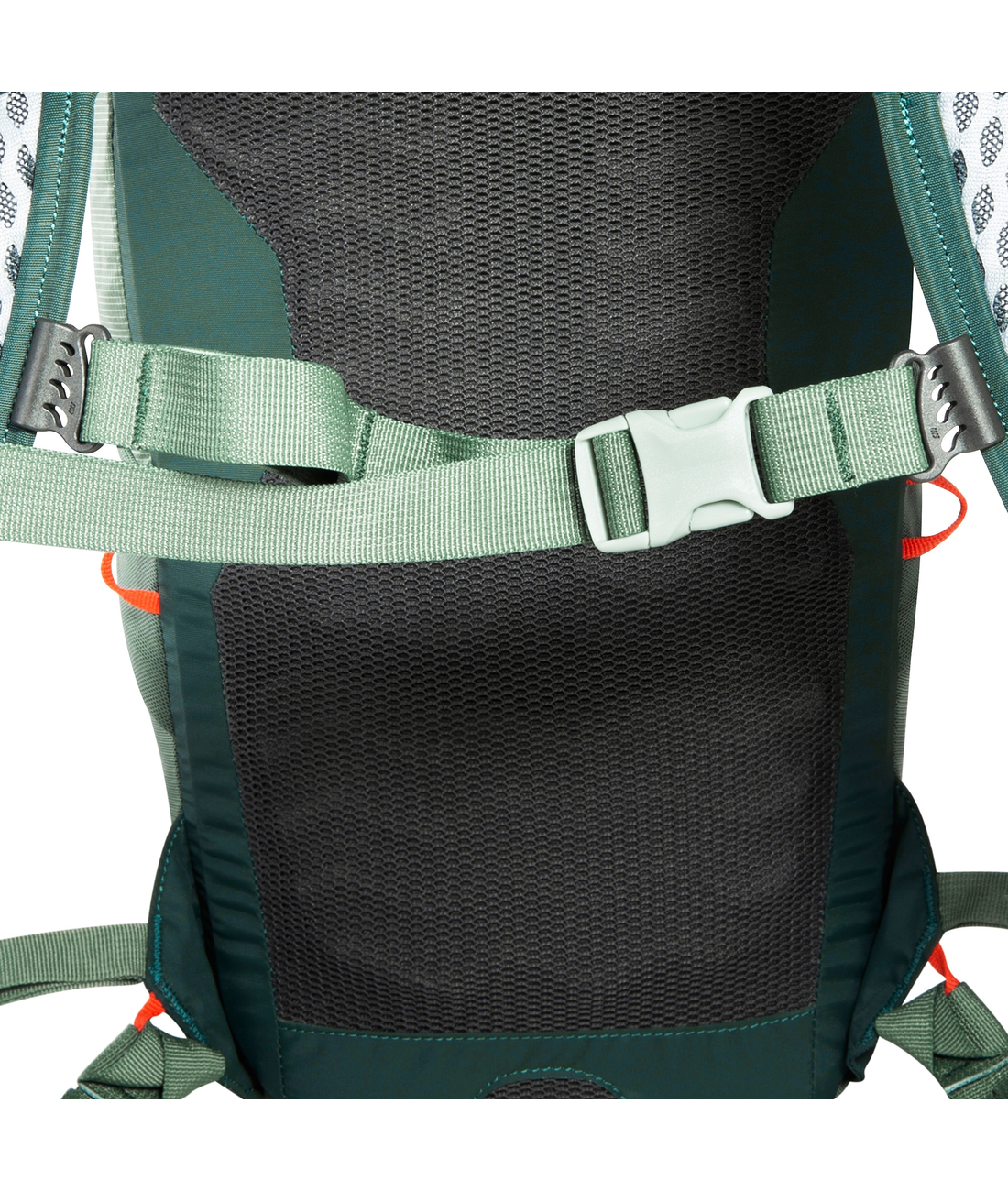 Active Pack 10
