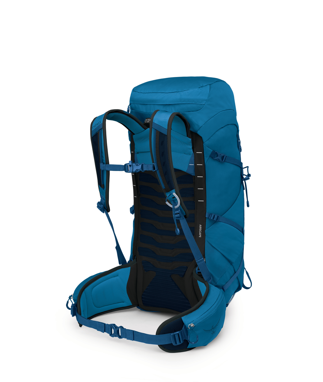 Talon 33