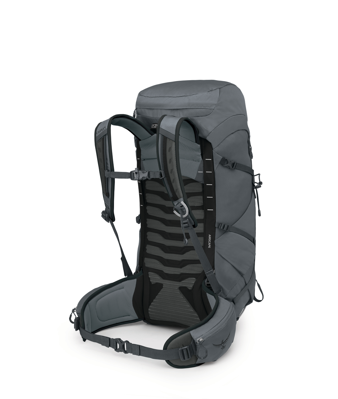 Talon 33
