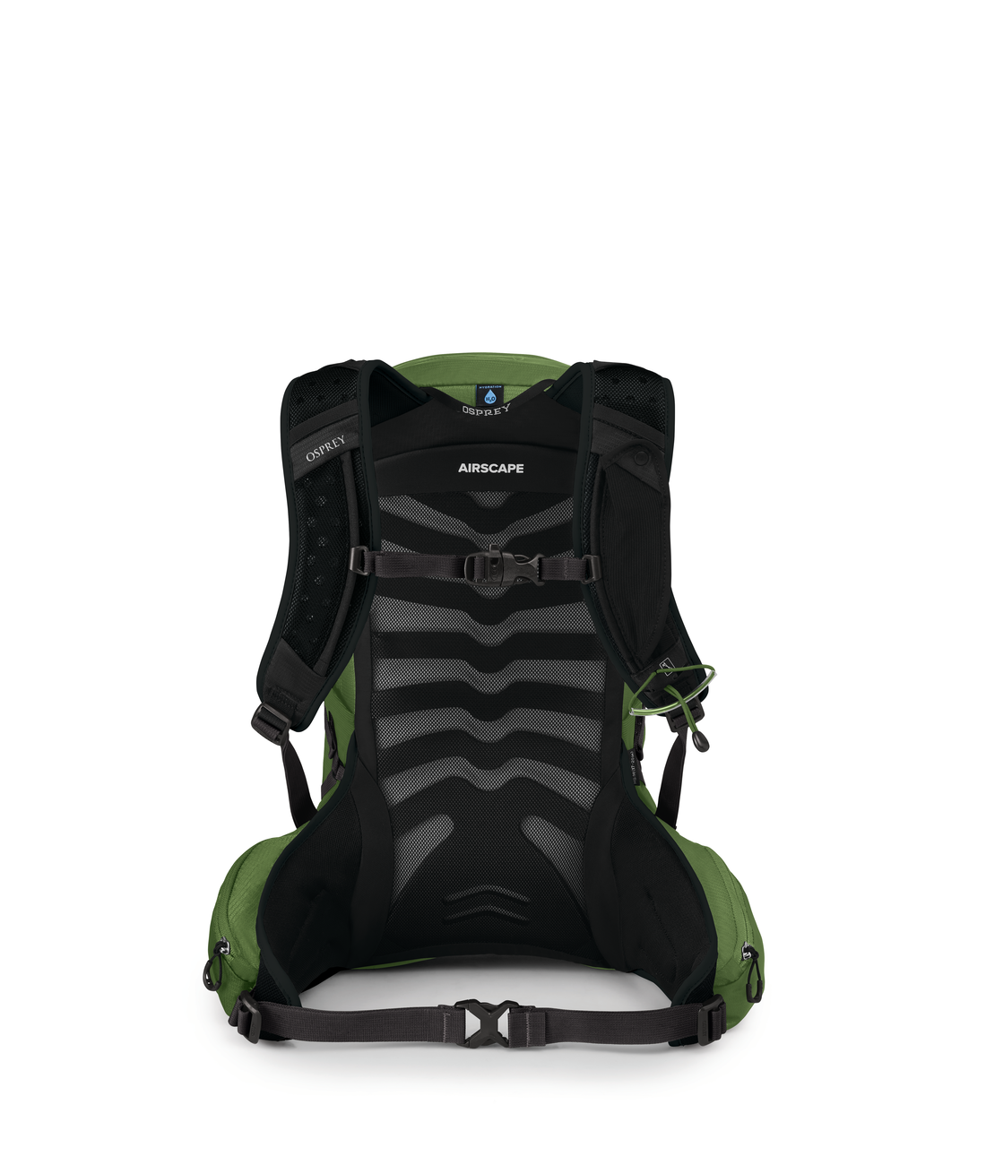 Talon 11 Gr. L/XL
