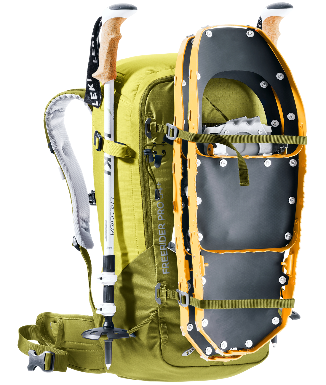 Freerider Pro 34+