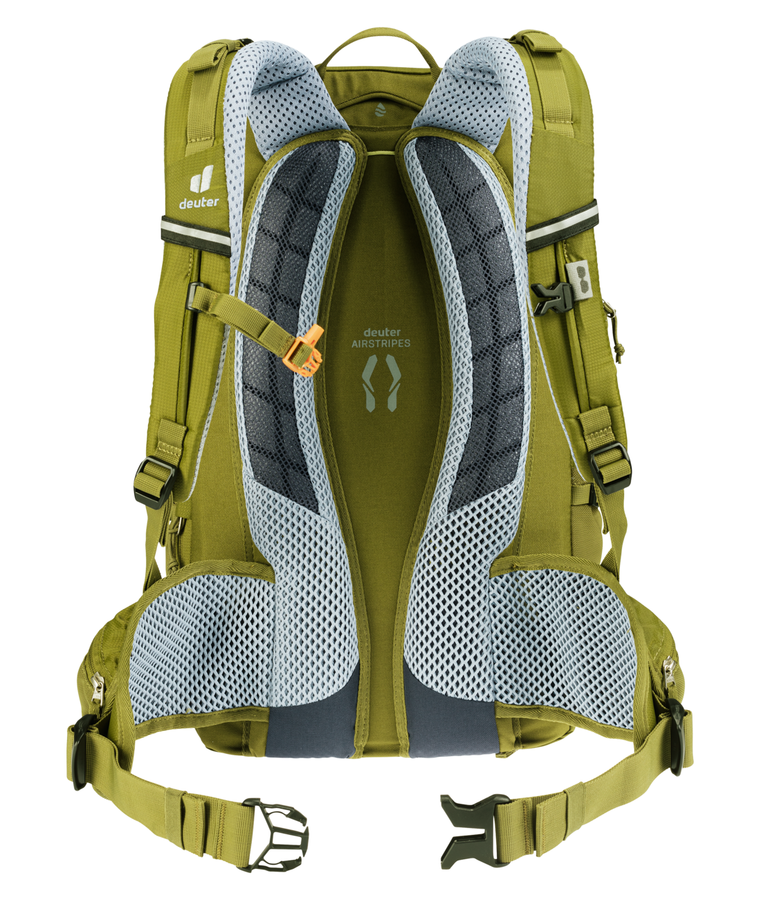 Trans Alpine 24