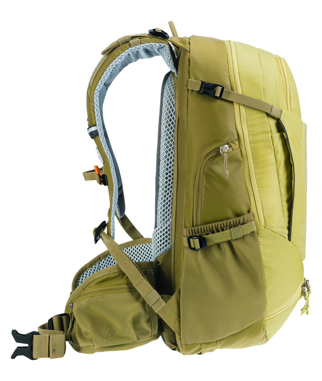 Trans Alpine 24