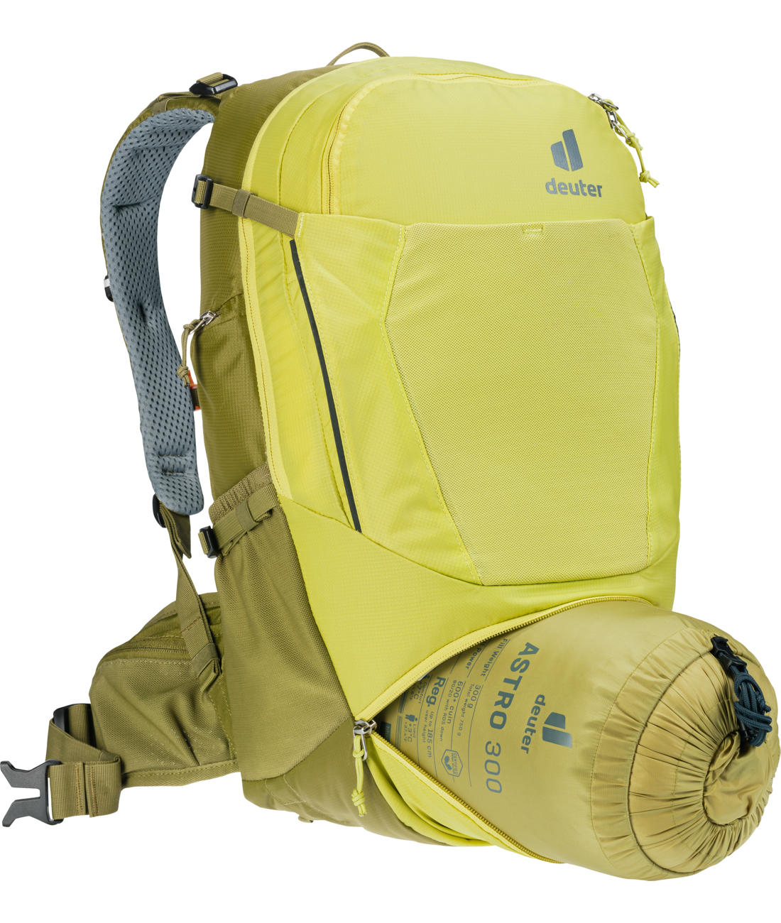 Trans Alpine 24