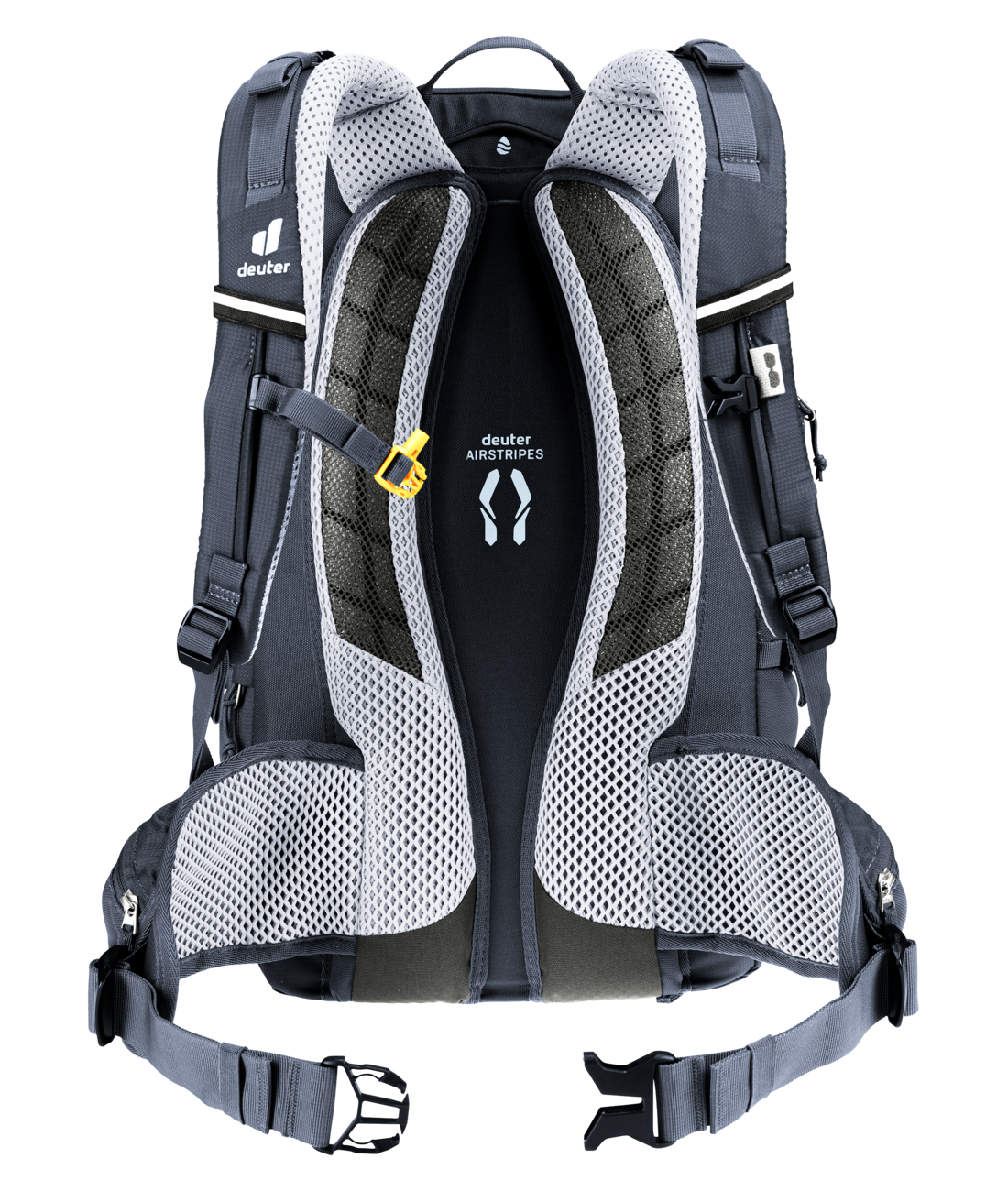Trans Alpine 24