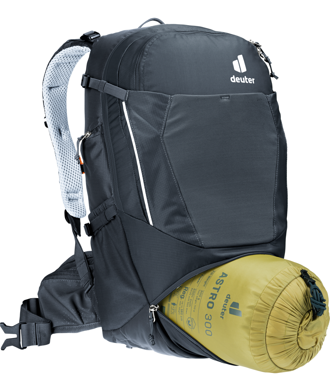 Trans Alpine 24