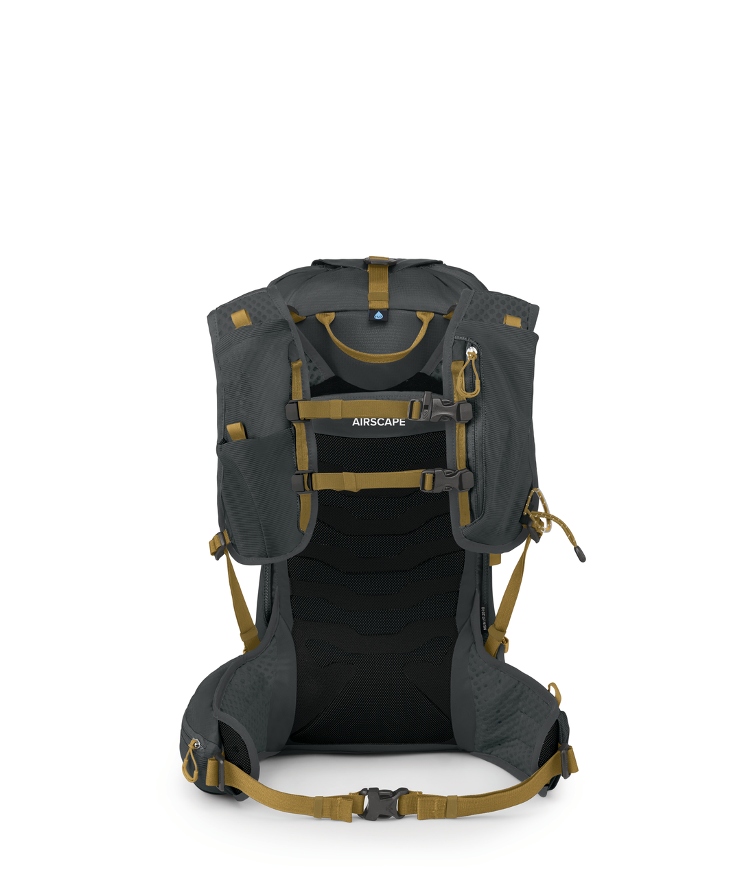 Talon Velocity 20 L/XL