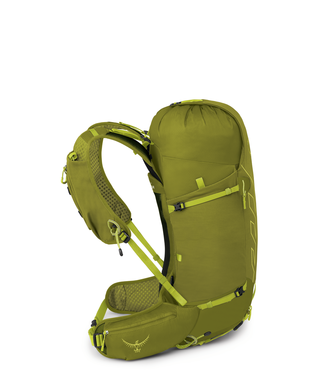 Talon Velocity 30 L XL Rucksacke RUCKSACKE UND TASCHEN