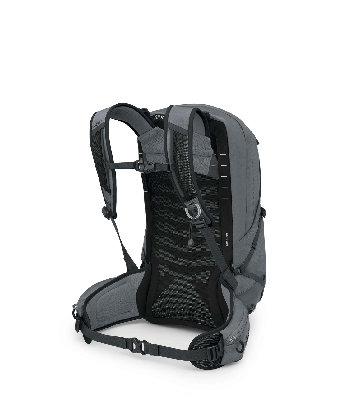 Talon 22